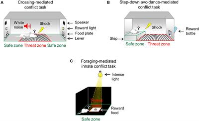 Conflict Test Battery for Studying the Act of Facing Threats in Pursuit of Rewards